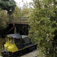 Trees added