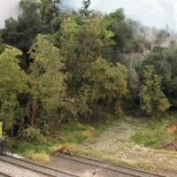 Trees added