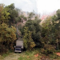 Trees added