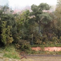 Trees added