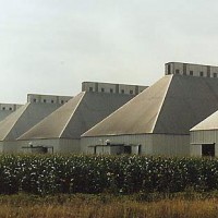 Cotton oil mill sheds