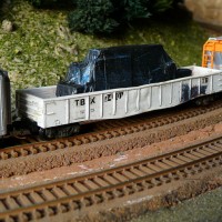 Special_at_Crescent_3