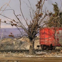 Trees_033
