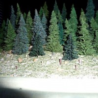 trees2