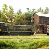 trees added to East Yard