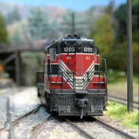 Diesel visitors on Sweethome