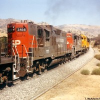 SP 3816