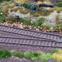 Ground cover
