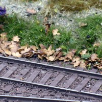 Ground cover