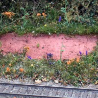 Ground cover
