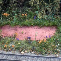 Ground cover