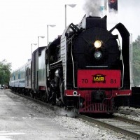 Train Festival 2011
