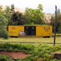 TTX boxcar and graffiti