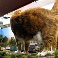 The works inspector