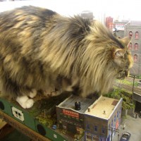 catzilla