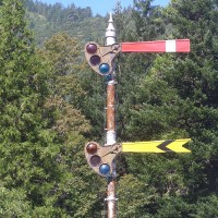 Signal