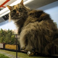 Pushkin October 2011