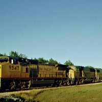 UP Coal train