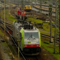 Weil_1