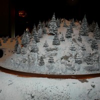 T25_trees
