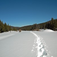 Snow Shoe Tracks
