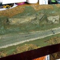 basic ground cover added