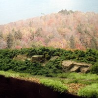 basic ground cover added