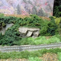 basic ground cover added