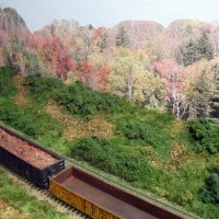 basic ground cover added