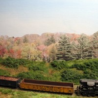 basic ground cover added
