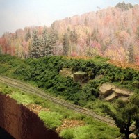 basic ground cover added