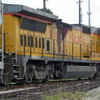 Scruffy Dash 8-40B