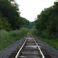 Mt. Morris Branch
