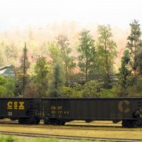 CSX coal hoppers