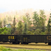 CSX coal hoppers