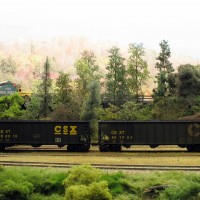 CSX coal hoppers