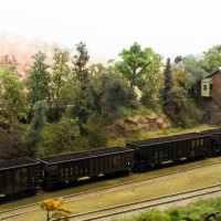 CSX coal hoppers