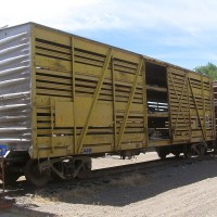UP 42430T