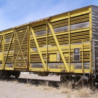 UP 42430T