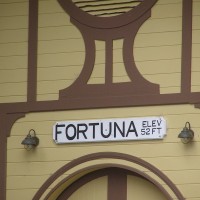 Fortuna Depot
