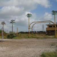 Scrap metal palm trees