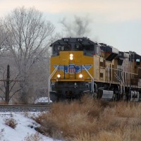 UP 8761