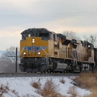 UP 8761