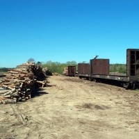 Abandawoodpiles