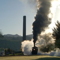 Steam, McCloud 25