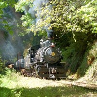 Salmonberry run