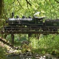 Salmonberry run