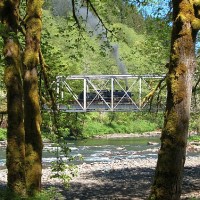Salmonberry run