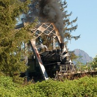 McCloud 25 steam