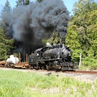 McCloud 25 steam